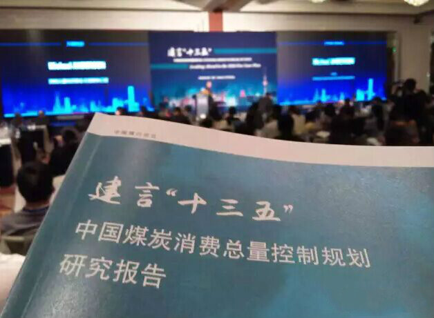 南北供暖大作戰(zhàn)，瑞馬壁掛爐品牌破其局11