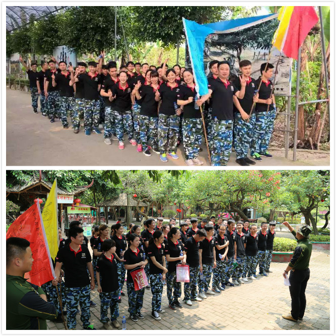 激情瑞馬展活力，凝心聚力瑞馬夢66