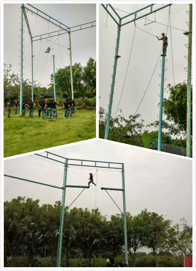 激情瑞馬展活力，凝心聚力瑞馬夢44